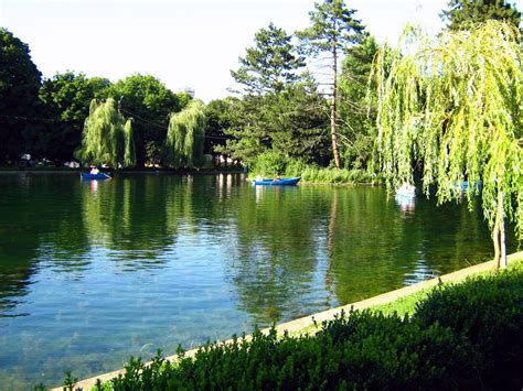 Summer Landscape Lake In The Park