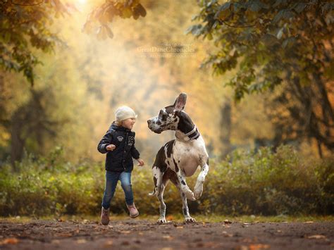 Fotografías De Niños Jugando Con Sus Perros Por And Frogx Three