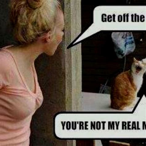 Youre Not My Real Mom Funny Photos Real Mom Cats