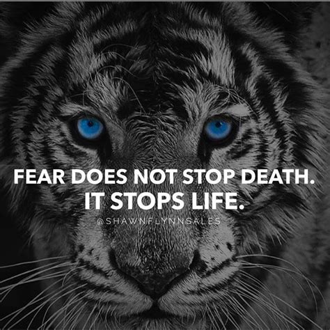 Its Time To Face Your Fears Its Time To Live Faceyourfears