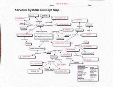 Nervous System Concept Map