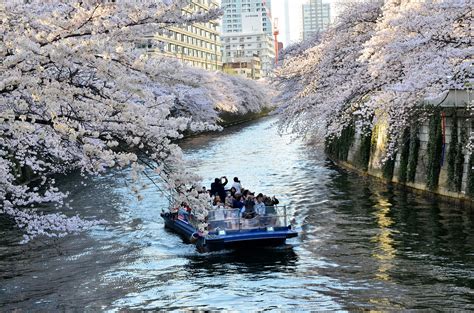 Sakura Naka Meguro River Beautiful Places In Japan Japan Japanese