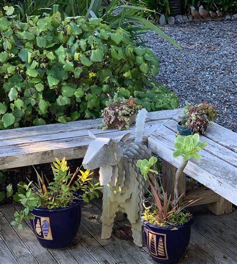 Garden Art | Punakaiki Accommodation, West Coast New Zealand