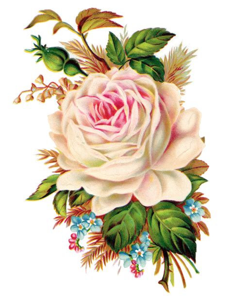 Clip Art Royalty Free Gorgeous Vintage Rose Image Free Pretty Things