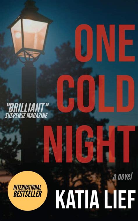 One Cold Night By Katia Lief Goodreads