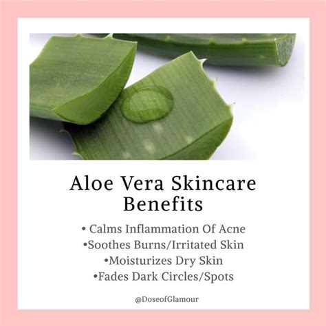 Aloe Vera Benefits For Skin Aloe Vera Is A Great Natural Ingredient
