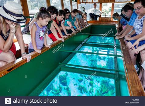 Silver Springs Florida State Park Silver River Glass Bottom Boat