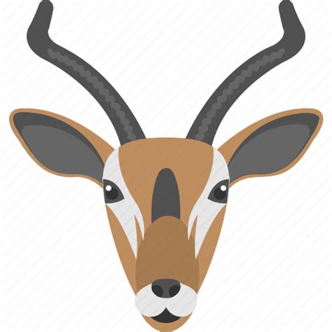 Gazelle Face