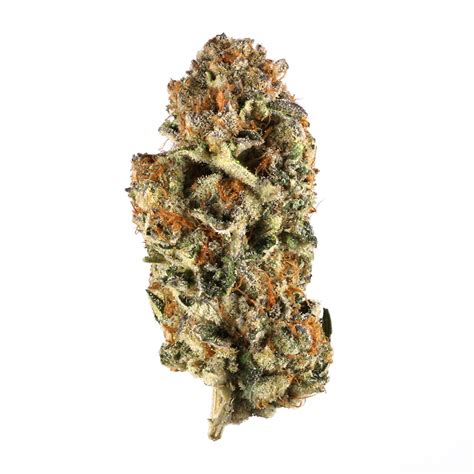 Nutter butter turkey cookies, of course! Nutter Butter Cookies Strain / 4 Cannabis Peanut Butter ...
