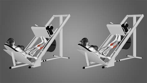 Leg Press Calf Raise Benefits Muscles Worked And More Inspire Us