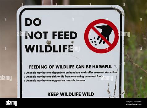 Dont Feed Wildlife Hi Res Stock Photography And Images Alamy