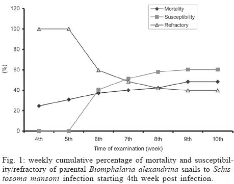 Scielo Brasil Identification Of A Genetic Marker Associated With