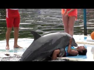 Dolphin Humps Woman DaftSex