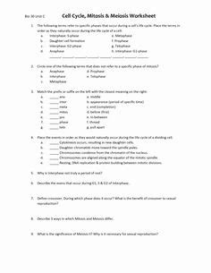 Important questions from cell division meiosis for net life science exam. Glencoe Algebra 1 Worksheet Answers | Algebra 1, Algebra ...