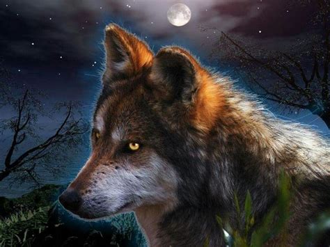 Pin By Shauna Caughron On Beautiful Wolves And Wolf Art Dog Images