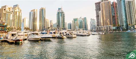 Best Yacht Cruises In Dubai Marina Prices Duration And More Mybayut