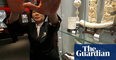 Chinas Ivory Trade Ban How To Make It Work Environment The Guardian