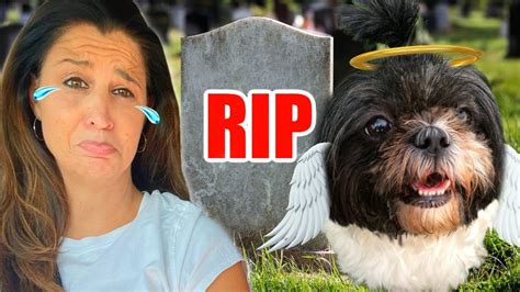 Our Dog Died 😢 Youtube