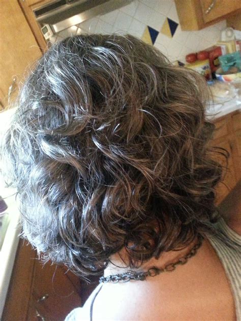Layered Gray Hair Dark Hair With Highlights Curly Hair
