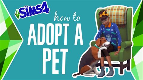 How To Adopt A Pet In The Sims 4 Cats And Dogs 🐶😸 Youtube