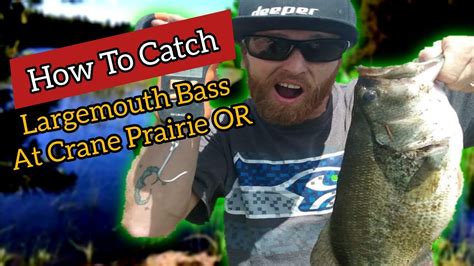 How To Catch Large Mouth Bass At Crane Prairie Oregon Bass Manager