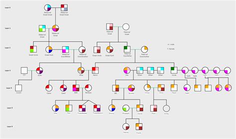 Genogram Multiple Marriages EdrawMax Template