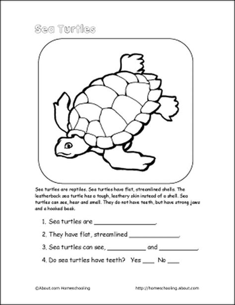 Free Printable Turtle Worksheets