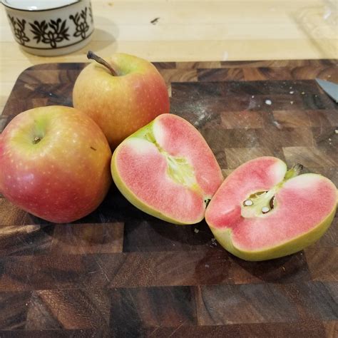 Heirloom Mountain Rose Apples From Oregon Rappletrees