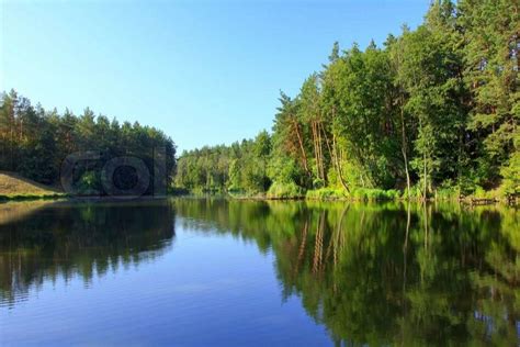 Tranquil Landscape With A Lake And Pine Forest Stock Photo Colourbox