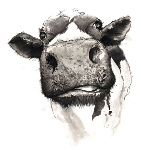 Check spelling or type a new query. Download Cattle Drawing Watercolor Painting - Not Today ...