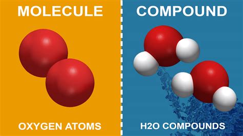 Difference Between A Molecule And Compound Made Simple