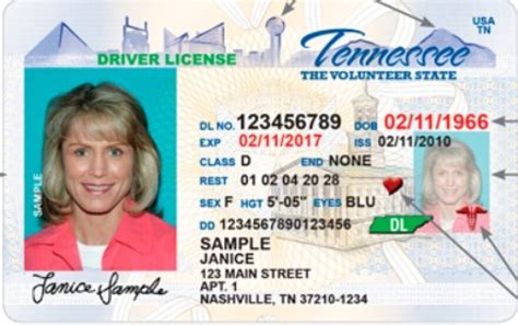 Tennessee Driver Services Set To Re Open But Its Complicated Wmot