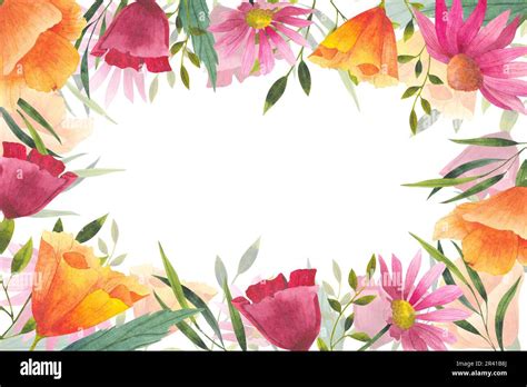 Summer Wildflower Frame Watercolor Illustration Floral Border With