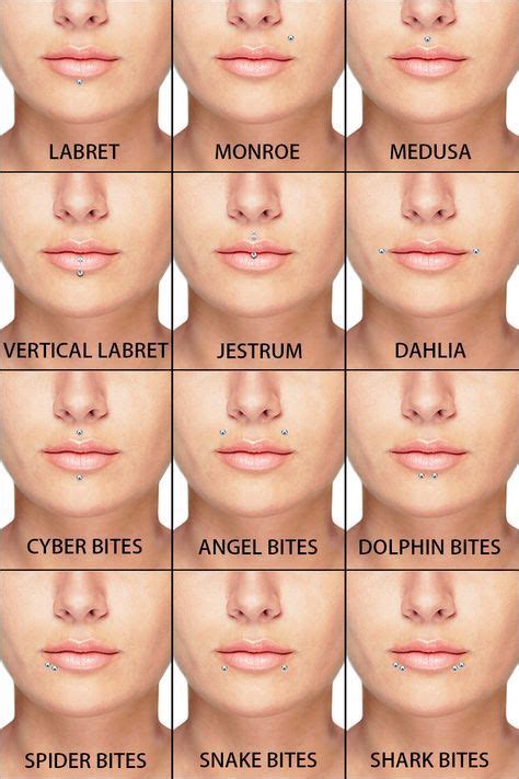 On Lip Piercings A Complete Guide To All Lip Piercings Types Lip