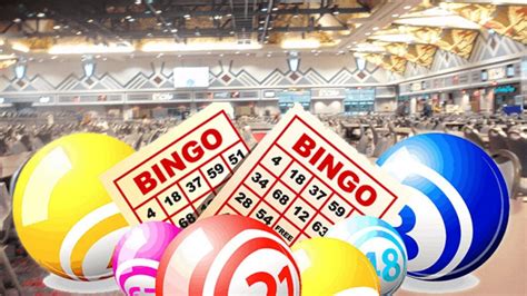 What Adopts Picking Good Bingo Intrik News Get Advice Tips In One Place