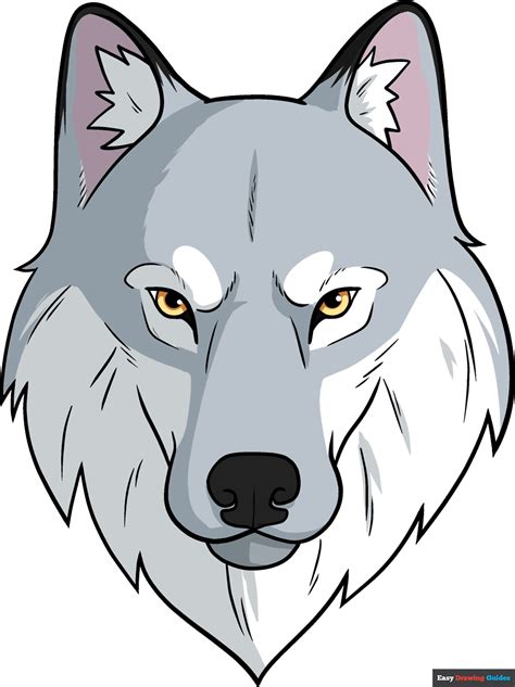 Wolf Head Drawing Front View