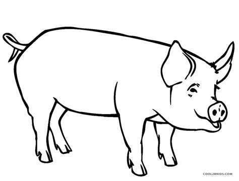 The pig head , the pig snout and the pig body. Free Printable Pig Coloring Pages For Kids