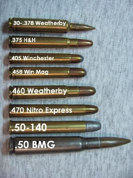 Vintage Outdoors Big Bore Rifle Cartridges Classic Safari Big Game