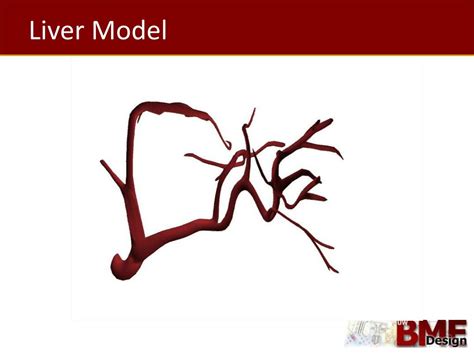 PPT - MRI Liver Phantom for Transarterial Chemoembolization Simulation