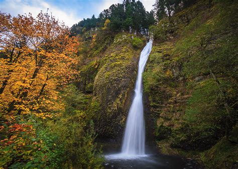 Horsetail Falls Oregon United States World Waterfall Database