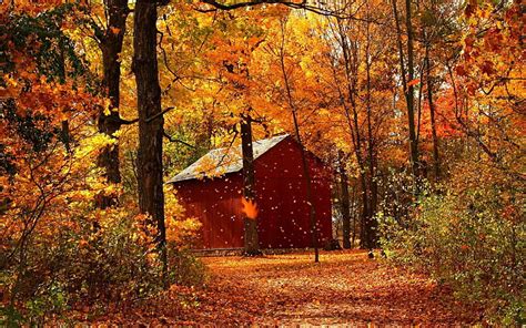 Hd Wallpaper Red Wooden Shed Leaf Fall Autumn Garage Trees