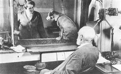 What Was The Main Point Of Ivan Pavlovs Experiment With Dogs