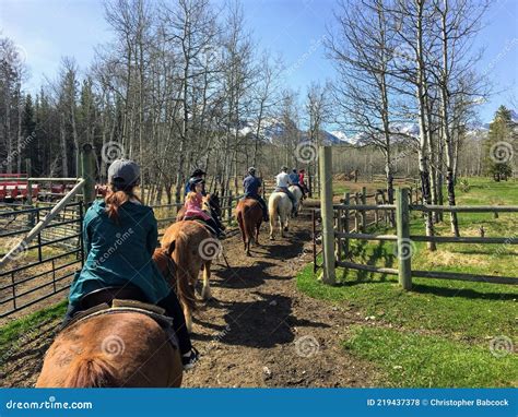 A Group Of People Riding Horses During A Guided Tour In The Forests Of