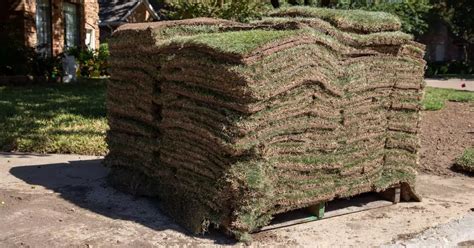 Zoysia Grass Sod Installation Sodscapes Texas 972 885 3899