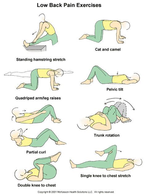 Low Back Pain Exercises Patient Handout