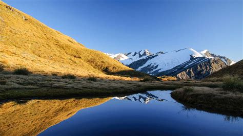 Mount Aspiring National Park The Complete Guide