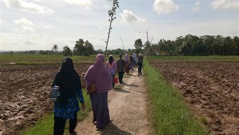 Tugas kliping bencana alam, seni budaya, olahraga. Petani Desa Bulupayung Patimuan Resmikan Jalan Usaha Tani ...