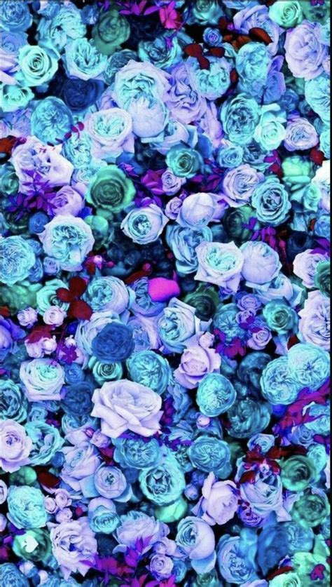 Blue Roses Blue Flower Wallpaper Pink Flowers Wallpaper Pretty