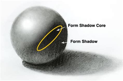 A Beginners Guide To Light And Shadow Part 1 Will Kemp Art School