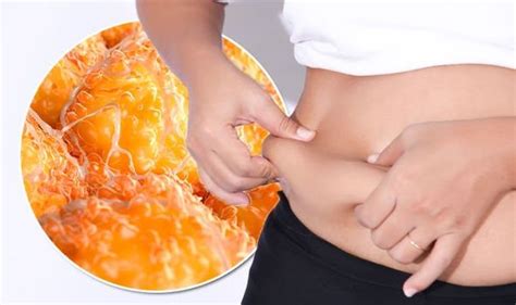 How To Get Rid Of Subcutaneous Fat Foods To Help Reduce Love Handles
